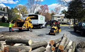 Best Hazardous Tree Removal  in Malibu, CA